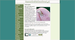 Desktop Screenshot of kalknagels.gezondheidshandboek.nl
